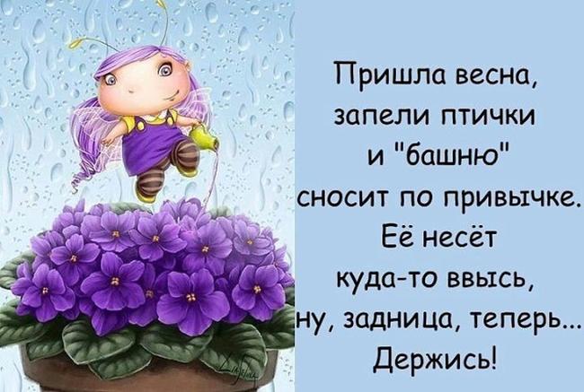 Смешные цитаты про весну
