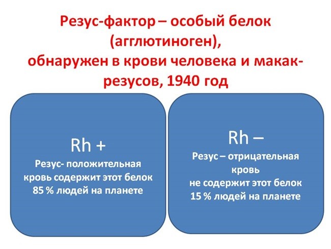 что такое резус-фактор