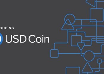 Introducing-USDC